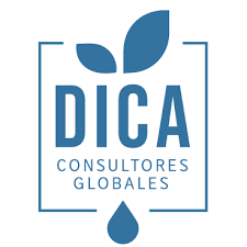 Organización B